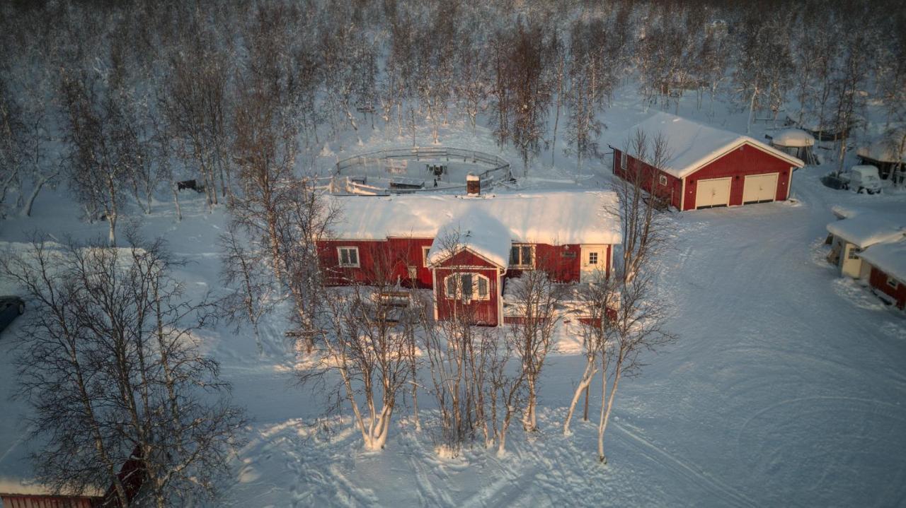 Husky Lodge Hostel Kiruna Ngoại thất bức ảnh