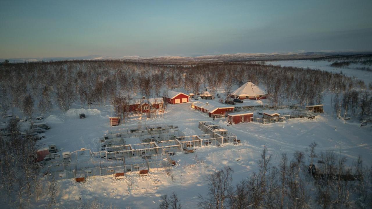 Husky Lodge Hostel Kiruna Ngoại thất bức ảnh