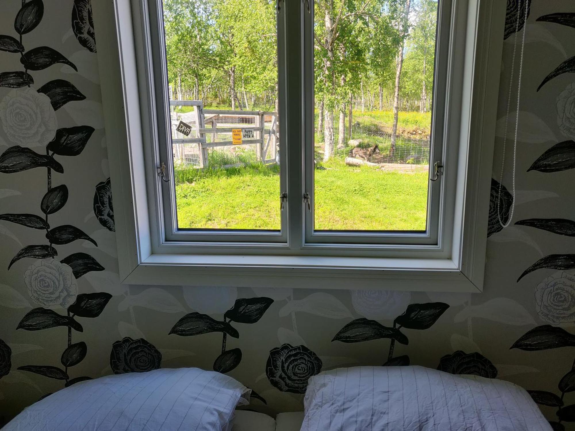 Husky Lodge Hostel Kiruna Phòng bức ảnh