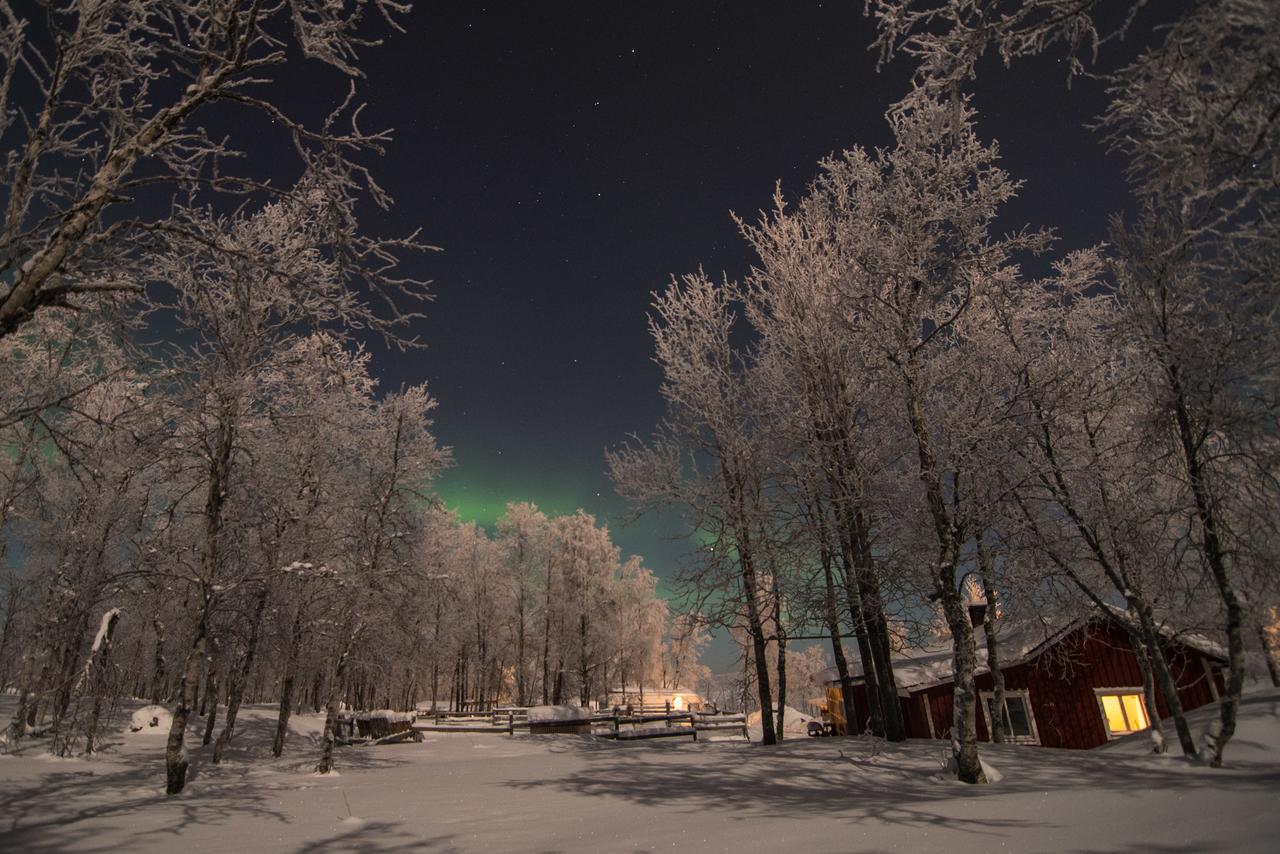 Husky Lodge Hostel Kiruna Ngoại thất bức ảnh