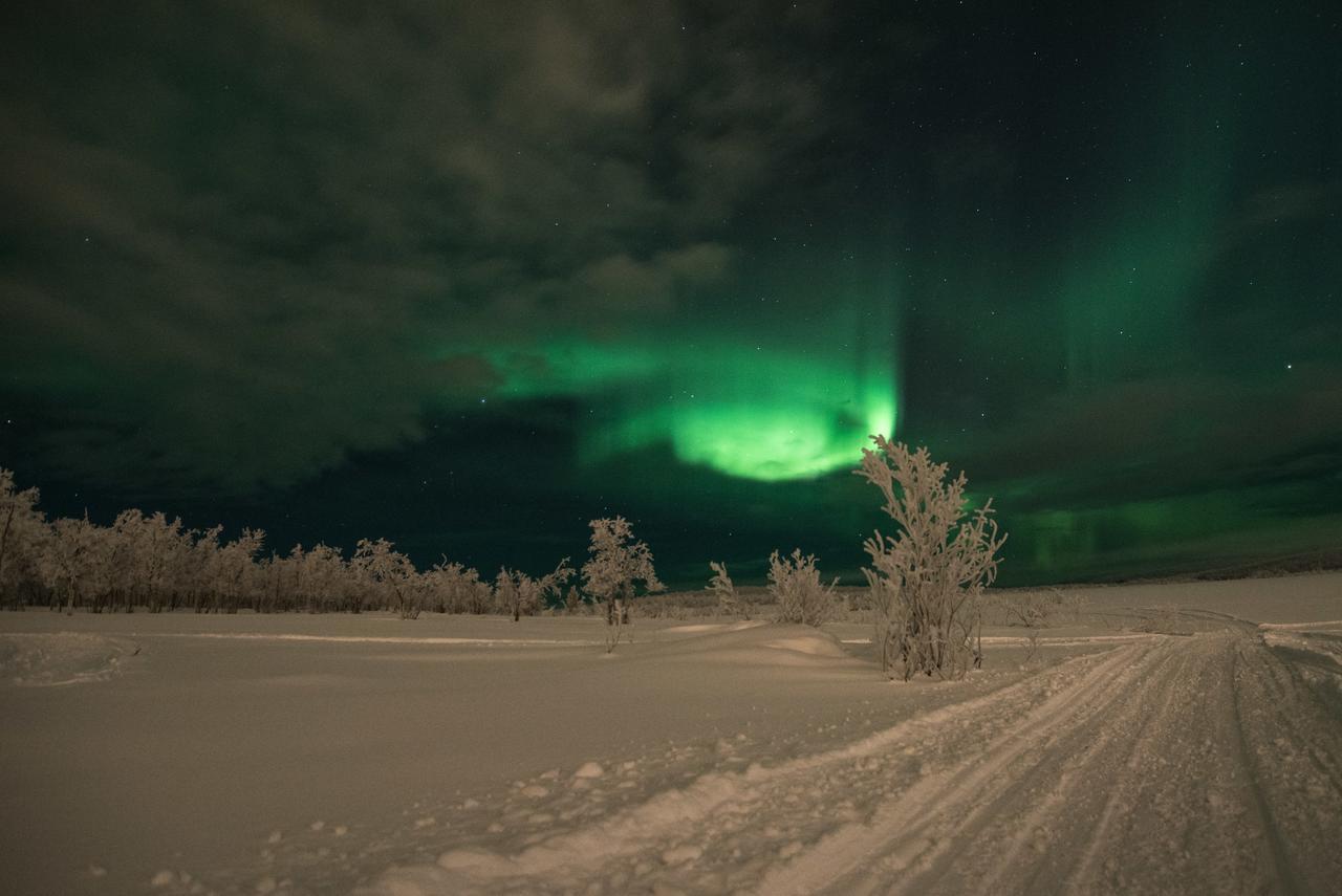 Husky Lodge Hostel Kiruna Ngoại thất bức ảnh