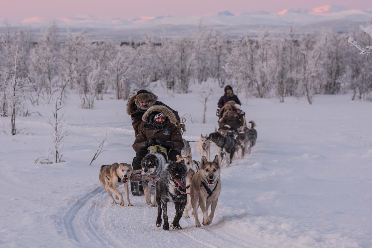Husky Lodge Hostel Kiruna Ngoại thất bức ảnh