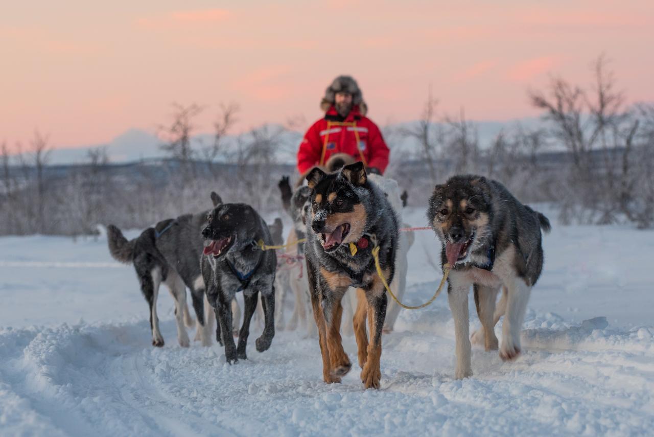 Husky Lodge Hostel Kiruna Ngoại thất bức ảnh